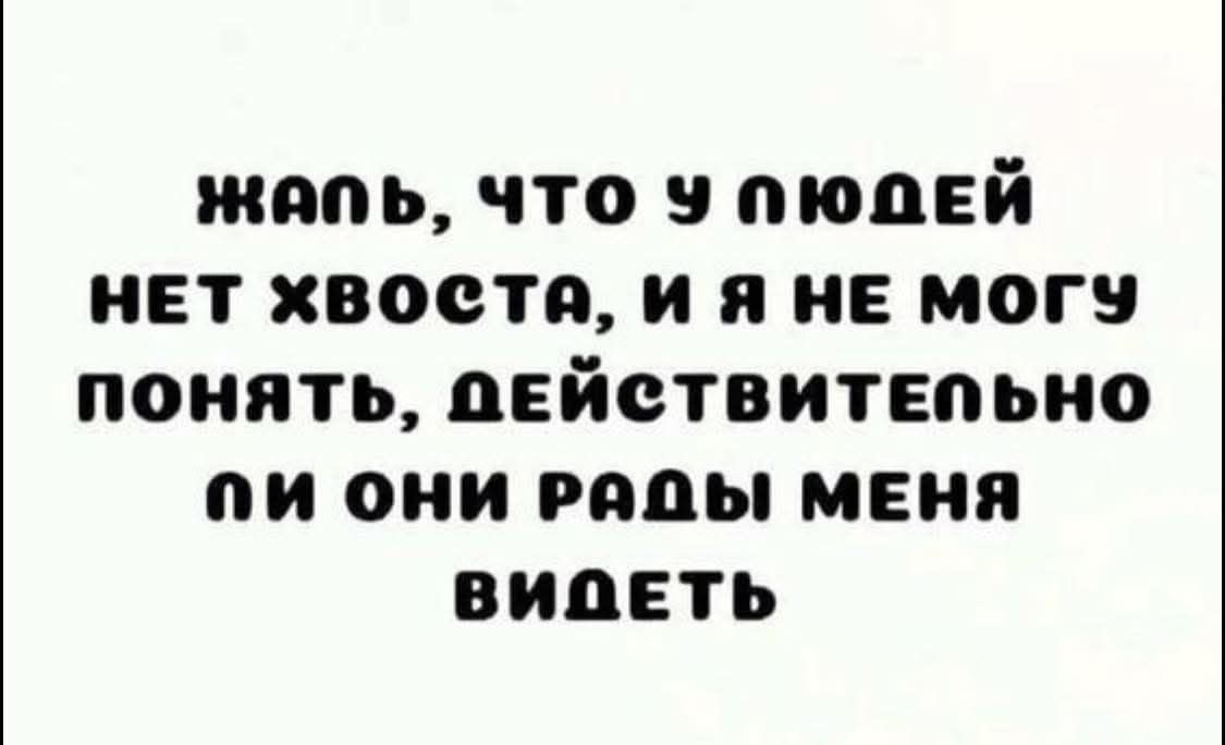 Жаль, что у людей нет хвоста, и я не могу понять, действительно ли они рады меня видеть