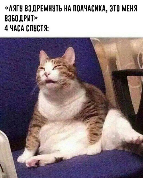 АЯГН ВЗДРЕМННТЪ НА ППАЧАСИКА ЗП МЕНЯ ВЗБПДРИТ 4 ЧАСА БПНСТЯ