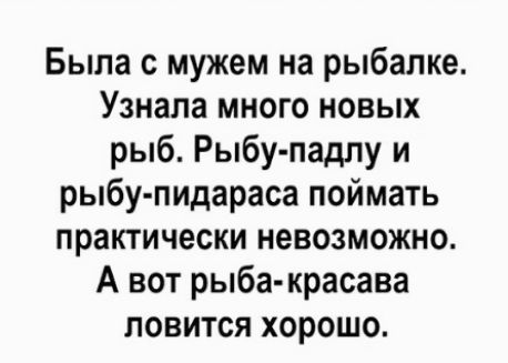 Была с мужем на рыбалке Узнала много новых рыб Рыбу падпу и рыбу пидараса поймать практически невозможно А вот рыба красава ловится хорошо