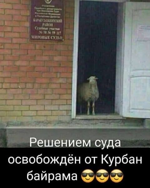 шпъмп 4 и Решенмем суда освобождён от Курбан байрама