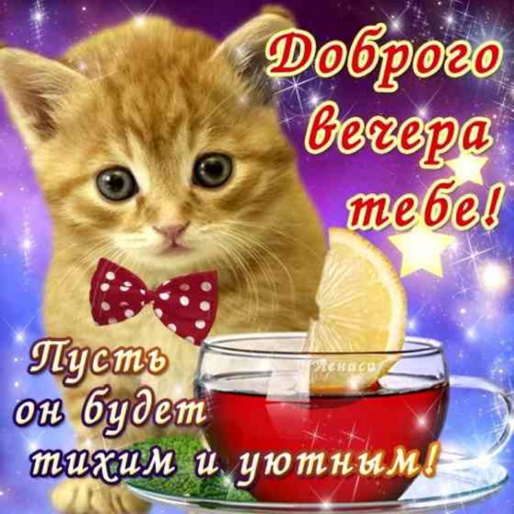 будет _ _ тигеизуютним _