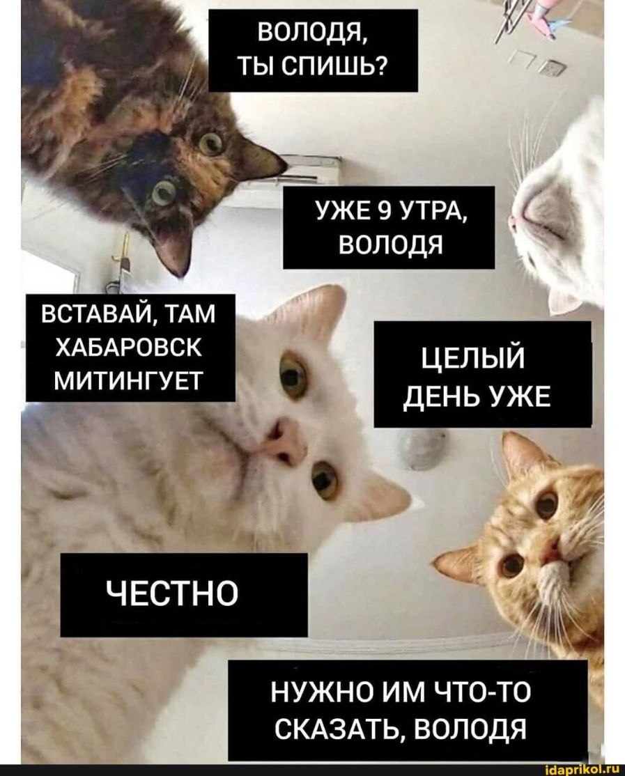 ВОЛОДЯ ТЫ СПИШЬ С ВСТАВАЙ ТАМ ХАБАРОВСК митингувт ЦЕЛЫЙ ДЕНЬ УЖЕ НУЖНО ИМ ЧТО ТО СКАЗАТЬ ВОЛОДЯ