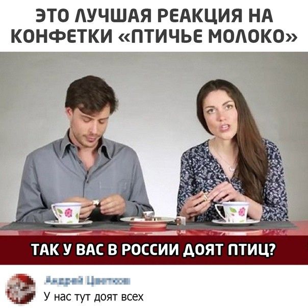 ЭТО АУЧШАЯ РЕАКЦИЯ НА КОНФЕТКИ ПТИЧЬЕ МОАОКО д ТАК У ВАС В РОССИИ дОЯТ ПТИЦ Ё У нас тут доят всех