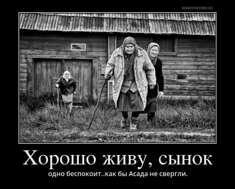 дми ядг 4 Хорошо живу сынок одно беспокоиткак бы Асада не свергли