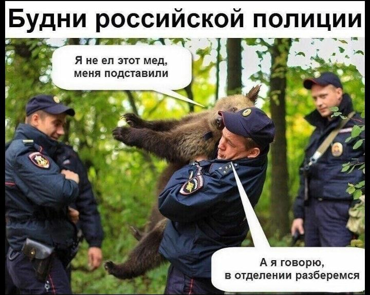 БУДНИ РОССИЙСКОЙ ПОПИЦИИ гв Я не ел этот мед меня подставили Е_іц_ 6 д гдг _ А я говорю в отделении разберемся