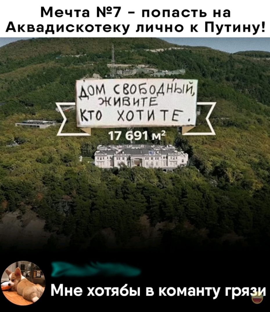 Мечта 7 попасть на Аквадискотеку лично к Путину Мне хотябы в команту грязи