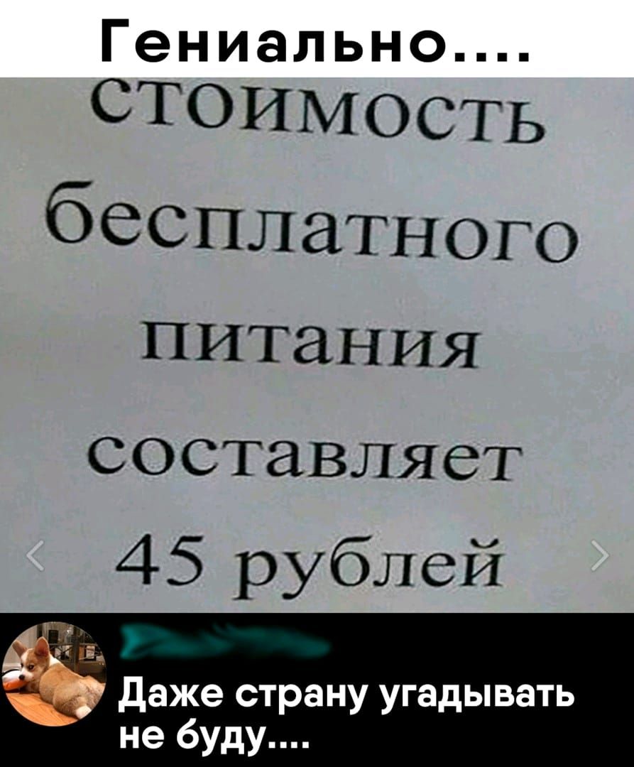 Гениально СТОИМОСТЬ бесплатного питания СОСТЗВЛЯСТ 45 рублей 4151 Юу даже страну угадывать не буду