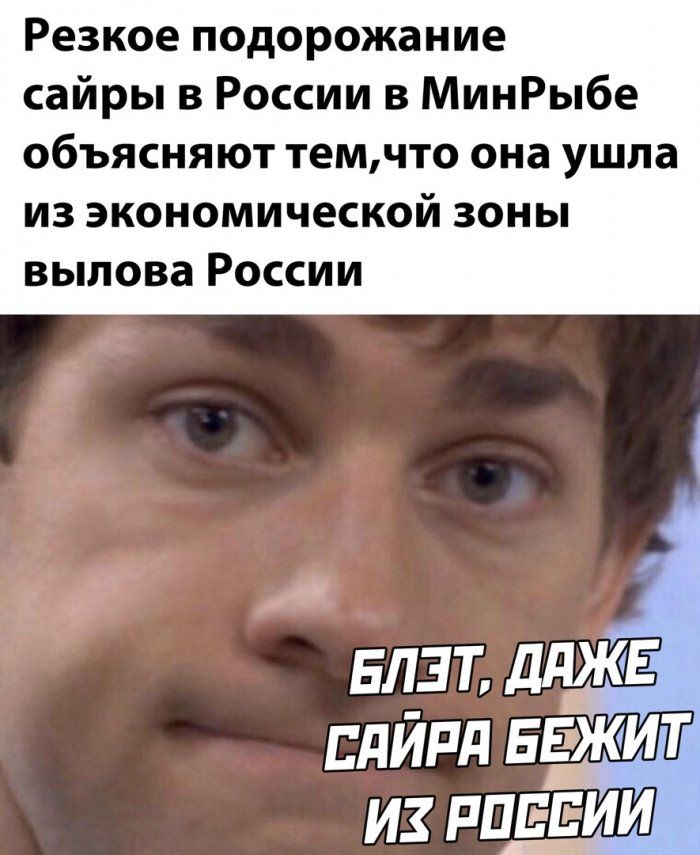 Резкое подорожание сайры в России в МинРыбе объясняют темчто она ушла из экономической зоны вылова России