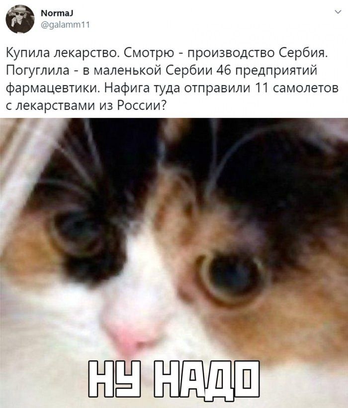 ноута Купила лекарство Смотрю производство Сербия Погуглила в маленькой Сербии 46 предприятий фармацевтики Нафига туда отправили 11 самолетов с лекарствами из России