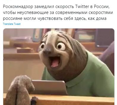 и шмнадщ _ медлил шрпсгь Типнад ИЦ иным петициие_а твэмэнными юрты пищи гчищепюаать маъдама