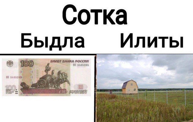 Сотка Быдла Илиты