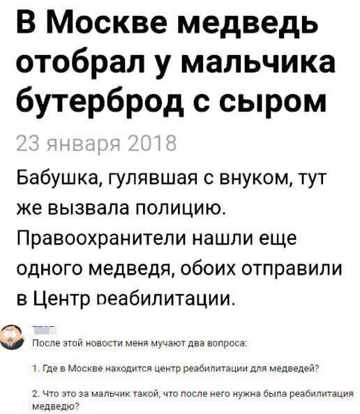 В Москве медведь отобрал у мальчика бутерброд с сыром Бабушка гулявшая с внуком тут же вызвала полицию Правоохранители нашли еще одного медведя обоих отправили в Центр оеабипитации 777 После аши новости ме маш дев нопроіз Где а москве ахадитса цеиТр резонштамм мадаедедт что это за мапы Анк такси что гаапе не нужна была реабилитация медвепю