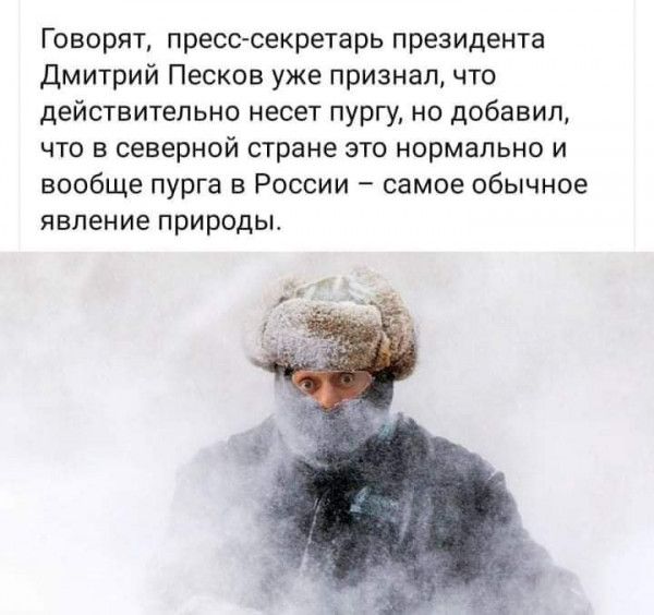 Говорят пресссекретарь президента дмитрий Песков уже признал что действительно несет пургу но добавил что в северной стране это нормально и вообще пурга в России самое обычное явление природы