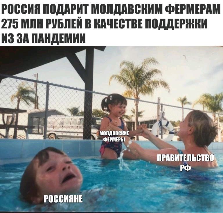 россии подарит МППДАВВНИМ ФЕРМЕРАМ 215 МЛН РУБЛЕИ В НАЧЕВТВЕ ППДДЕРЖНИ ИЗ ЗА ШШДЕМИИ ч шп иш ЬЫМ ХФЕЁШРЫ г