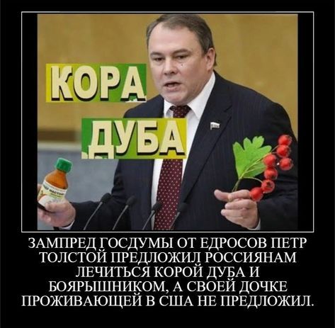 ЗАМПРЕД ГОСДУМЫ ОТ ЕДРОСОВ ПЕТР ТОПСТОИ ПРЕДЛОЖИЛ РОССИЯНАМ ЛЕЧИТЬСЯ КОРСИ ДУБА И БОЯРЫШНИКОМ А СВОЕИ ДОЧКЕ ПРОЖИВАЮЩЕЙ В США НЕ ПРЕДЛОЖИЛ