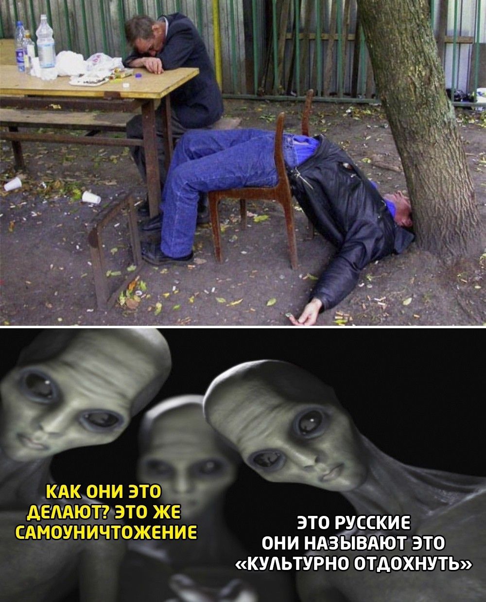 дети это же это русские САМОУНИНТЩЁНИЕ они нджзЁЁвПют это КУЬТЙНО ОТДОХНУТЬ _ А я __
