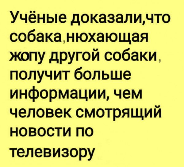 Учёные доказаличто собаканюхающая жопу другой собаки получит больше информацицнюм человек смотрящий новостипо телевизору