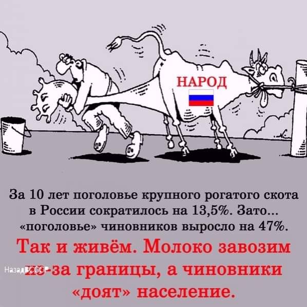За 10 лет поголовье крупного рогатого скота в России сократилось на 135 Зато поголовье чиновников выросло на 47 Так и живём Молоко завозим 23438 границы ЧИНОВНИКИ ЦОЯТ население