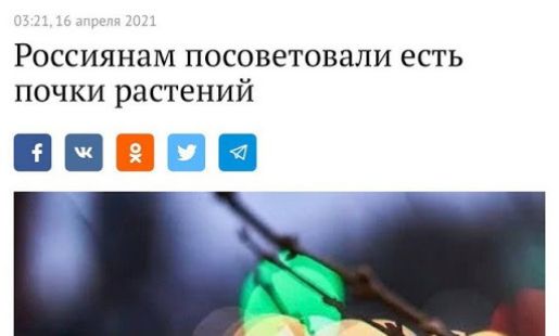 Россиянам посоветовали есть почки растений