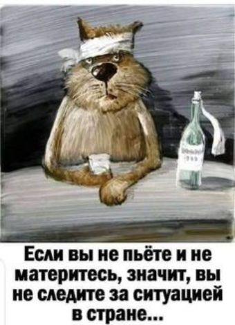 Если вы не пьёте и не иатеритесь значит вы не следите за ситуацией в стране