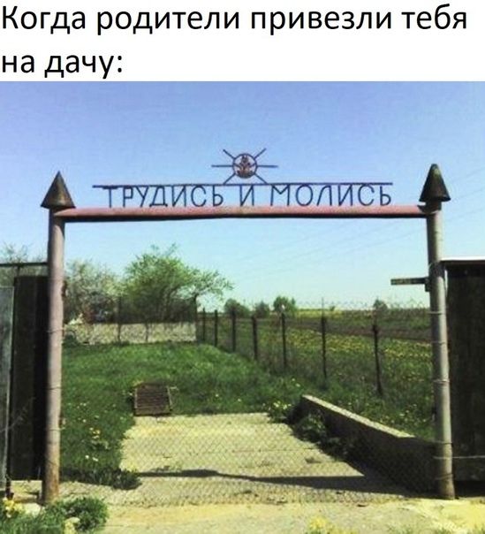 Когда родители привезли тебя на дачу