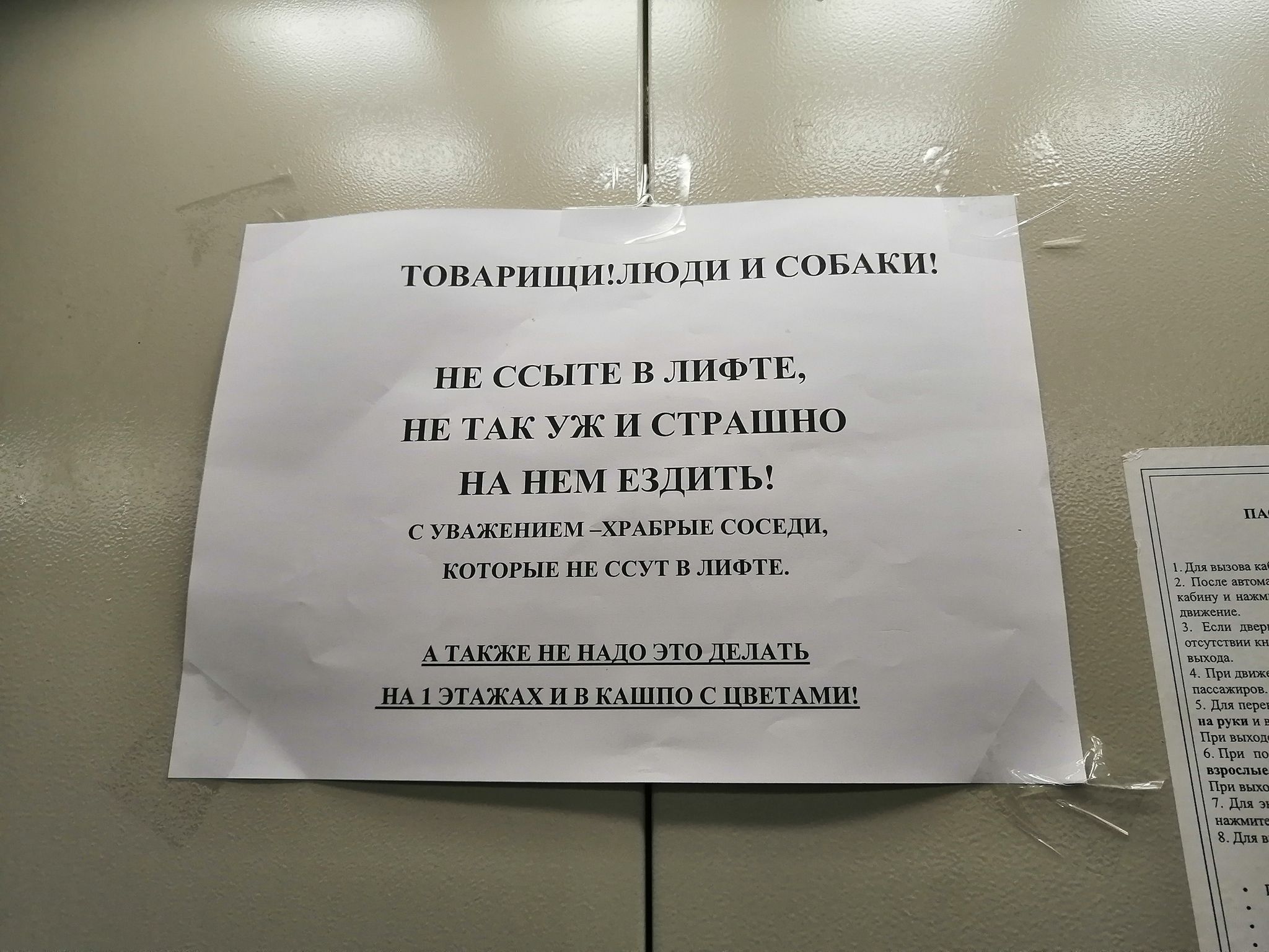 ТОВАРИЩИХЛЮДИ И СОБАКИ НЕ ССЬ1ТЕ В ЛИФТЕ НЕ ТАК УЖ И СТРАШНО НА НЕМ ЕЗДИТЬ  С УВАЖЕНИЕМ ХРАБРЬ1Е СОСЕДИ КОТОРЫЕ НЕ ССУТ В ЛИФТЕ А ТАКЖЕ НЕ НАДО ЭТО Д  ЕЛАТЬ И