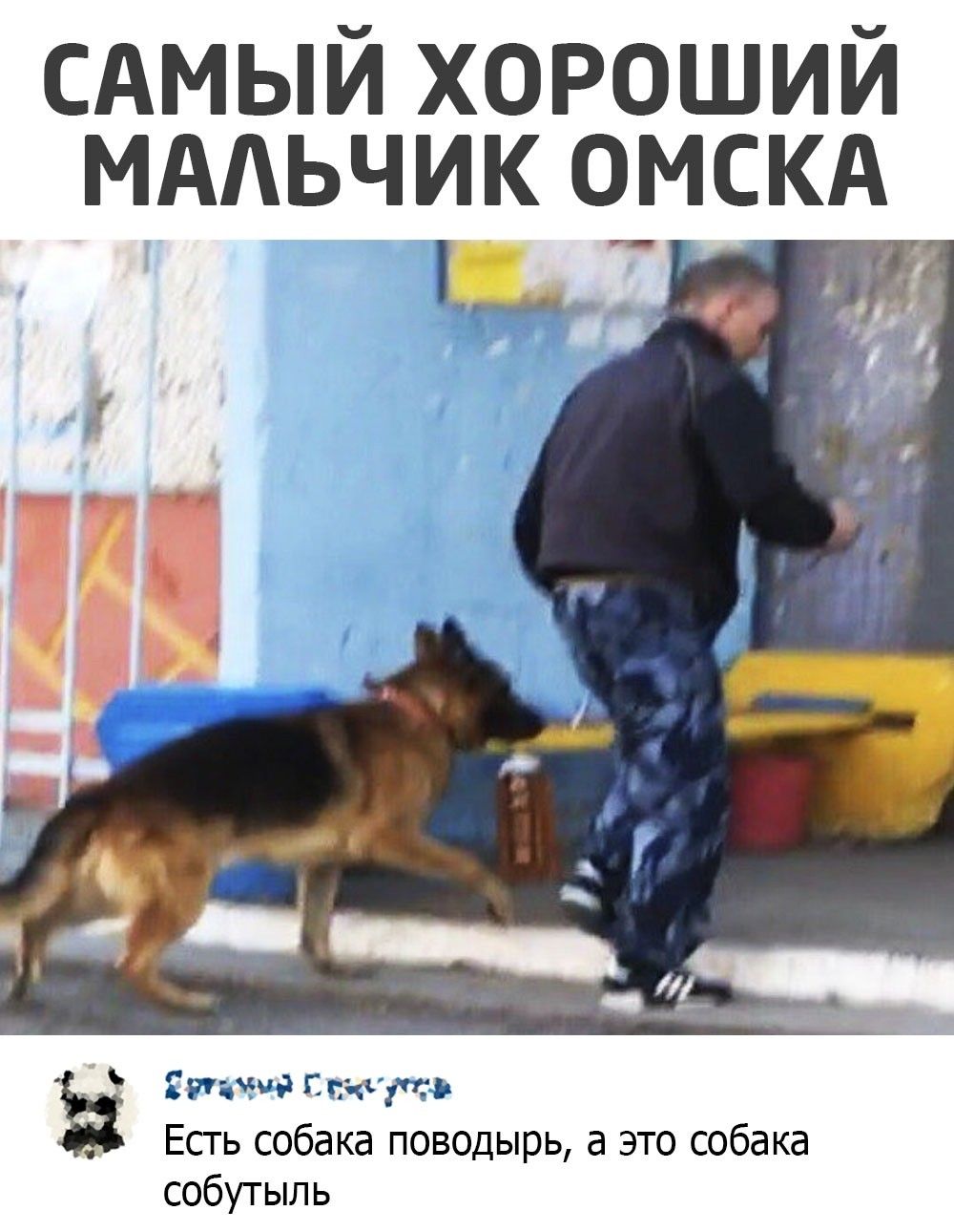 сдмый хороший мддьчик ОМСКА ьиъччд Спит Есть собака поводырь а это собака собутыль