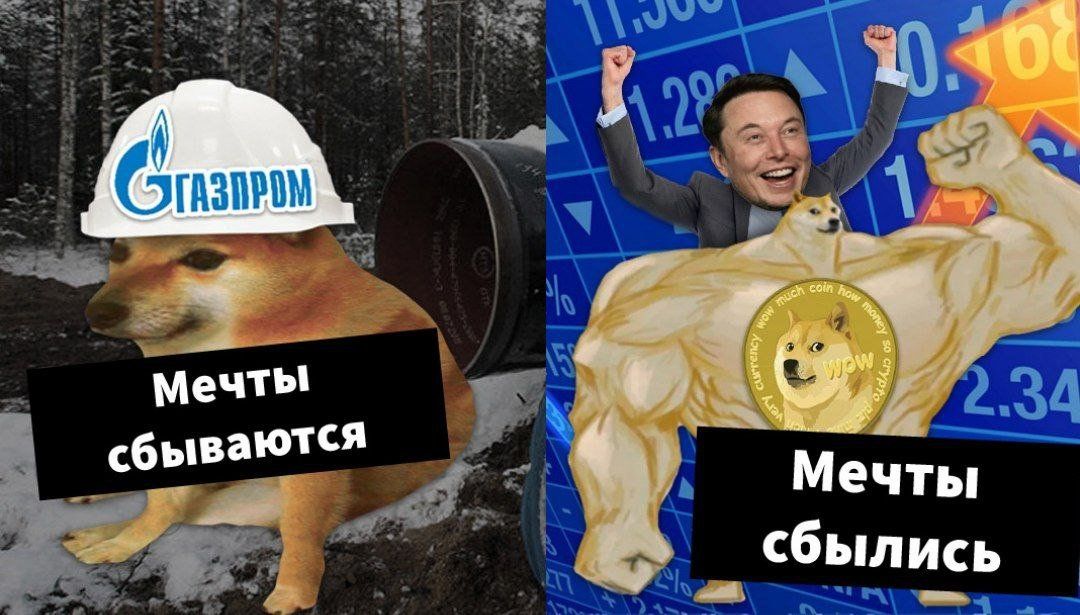 Мечты сбываются : мечты  сбылись