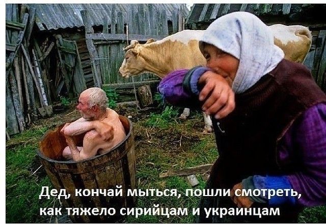 дед кончай мытьсядшшли смц как тяжело сирийцам и украинцам