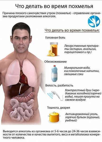 ЧТО делать 80 время ПОХМЕЛЬЯ причина плохого самия утром похмелья ютаяление шин _ Что знать но вмя похмелья Гельман Бппь тактики препара ты катил анальгин парацетамол и Обеиоживдиив Минеральная вода кисломмочинвиапитш мощные соки вмест ЙЗБЮОПЬ контрастный душ древние колодцевюрлица воды пешая прогулка ии шиизм тд тн лин Актинщюааиинйугмь гоичиабульон тащил рыбный Выжимки алкоголь и орпииш от въ ко