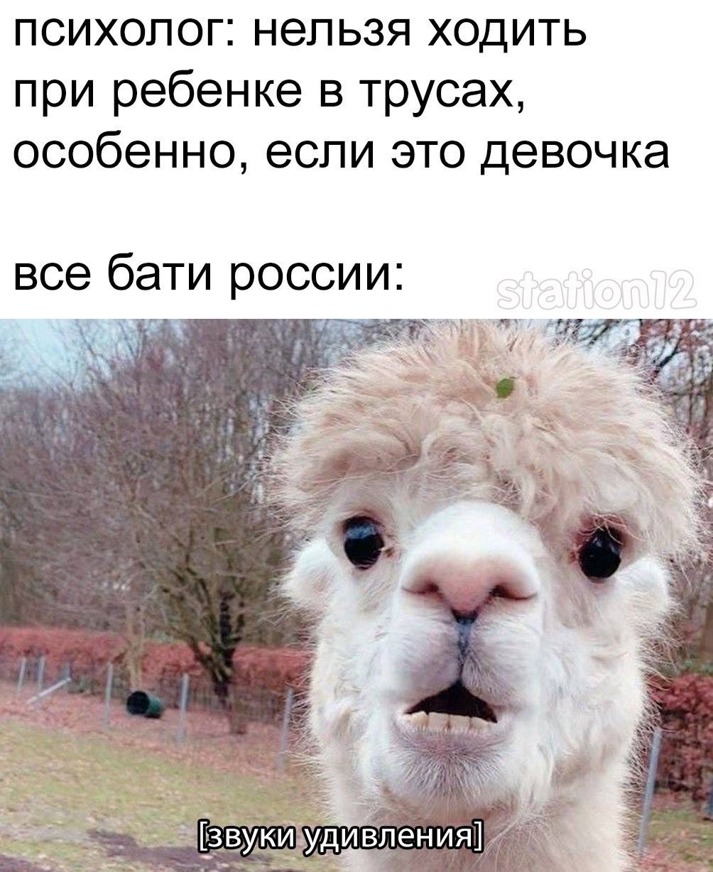 психолог нельзя ходить при ребенке в трусах особенно если это девочка все бати россии _ _1 і
