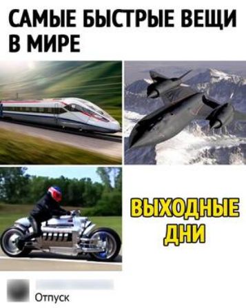САМЫЕ БЫСТРЫЕ ВЕЩИ В МИРЕ