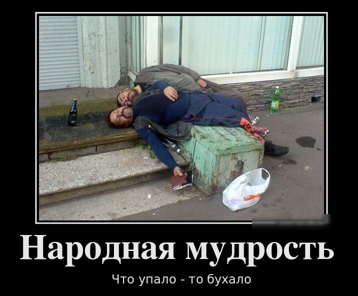 Народная мудроусйтйь Что упало то бухапо