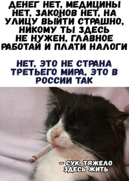 денег нет медицины нет здконов нет нА улицу выити стмшно никому ты здесь не нужен пивное твотди и пддти нмюги НЕТ ЭТО НЕ СТРАНА ТРЕТЬЕГО МИРА ЭТО В россии ТАК
