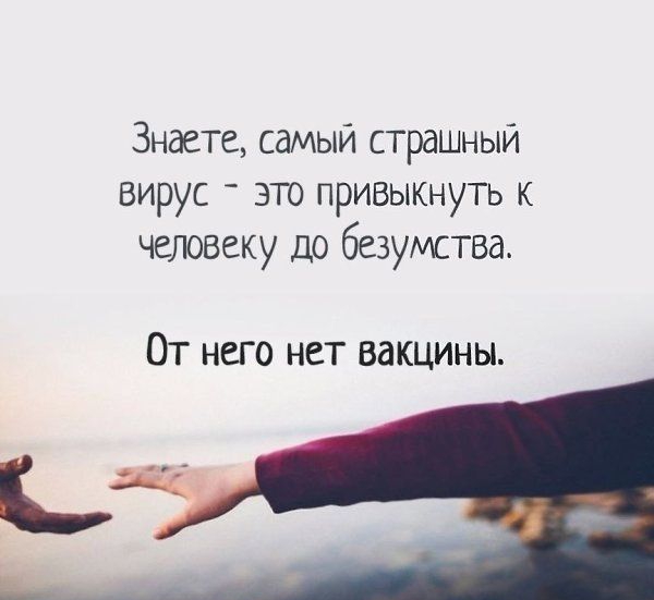 Знаете самый страшный вирус _ это привыкнуть к человеку до безумства От него нет вакцины