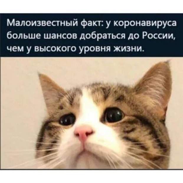 Малоизвестный факт у коронавируса больше шансов добраться до России чем у высокого уровня жизни