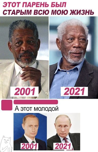сіАЁЬіМВЫЬ Мдіо жизнь
