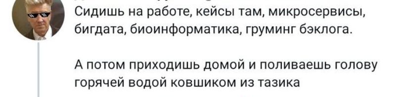 Сидишь на работе кейсы там микросервисы бигдата биоинформатика груминг бэклога А ПОТОМ ПрИХОдИШЬ ДОМОЙ И попиваешь ГОЛОВУ ГОРЯЧЕЙ ВОДОЙ КОВШИКОМ ИЗ тазике