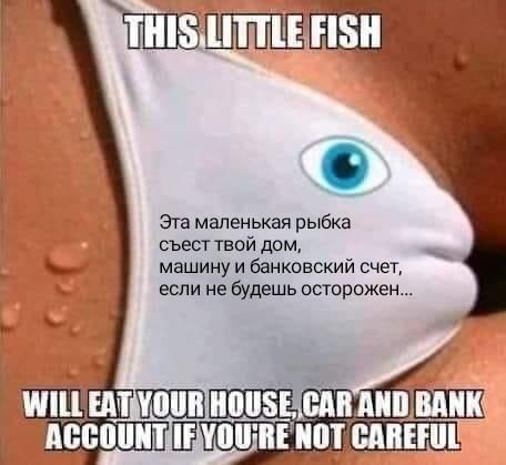 Эта маленькая рыбка съест твой дом машину и банковский счет если не будешь осторожен