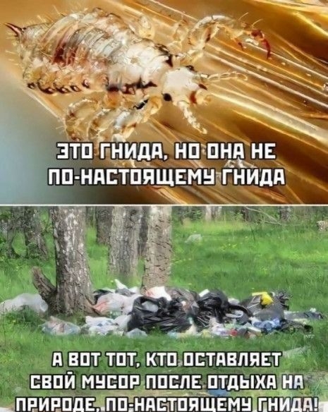 А вотэтот: ктппетнвппет свпи мусорпосле. Отдыха н п