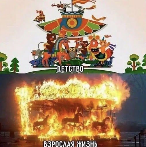 _д А взросмя тизнь