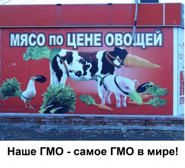 _ мясо по ЦЕНЕ евощвй а 35 г __і Наше ГМО самое ГМО в мире