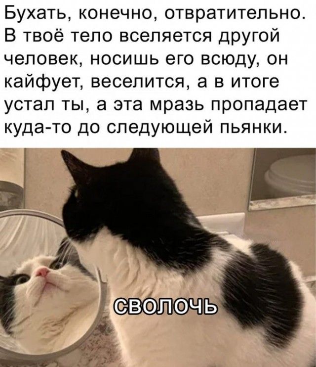 Бухать конечно отвратительно В твоё тепо вселяется другой человек носишь его всюду он кайфует веселится а в итоге устал ты а эта мразь пропадает куда то до следующей пьянки