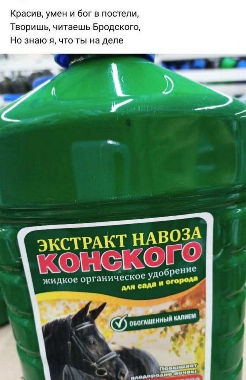 Красив умен и бог в постели Творишь читаешь Бродского Но знаю я что ты на деле е уд жидкое ОРГЗНИЧЗСКО