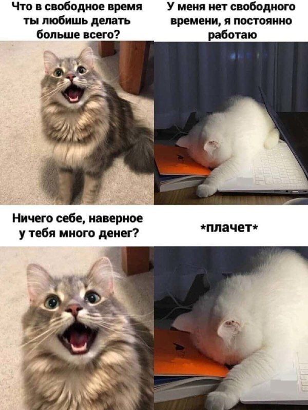 Что в свободное время У меня нет свободного ты тобишь делать времени я постоянно больше всего работаю Ничего себе наверное у тебя много денех плачет