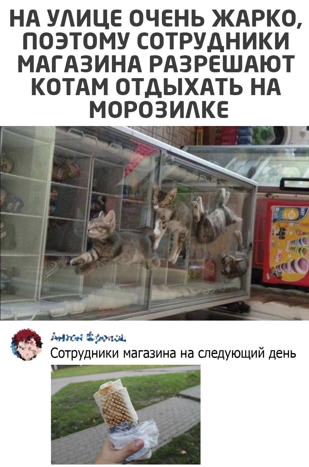 НА УАИЦЕ ОЧЕНЬ ЖАРКО ПОЭТОМУ СОТРУДНИКИ МАГАЗИНА РАЗРЕШАЮТ КОТАМ ОТДЫХАТЬ НА МОРОЗИАКЕ дню има Сотрудники магазина на следующий день