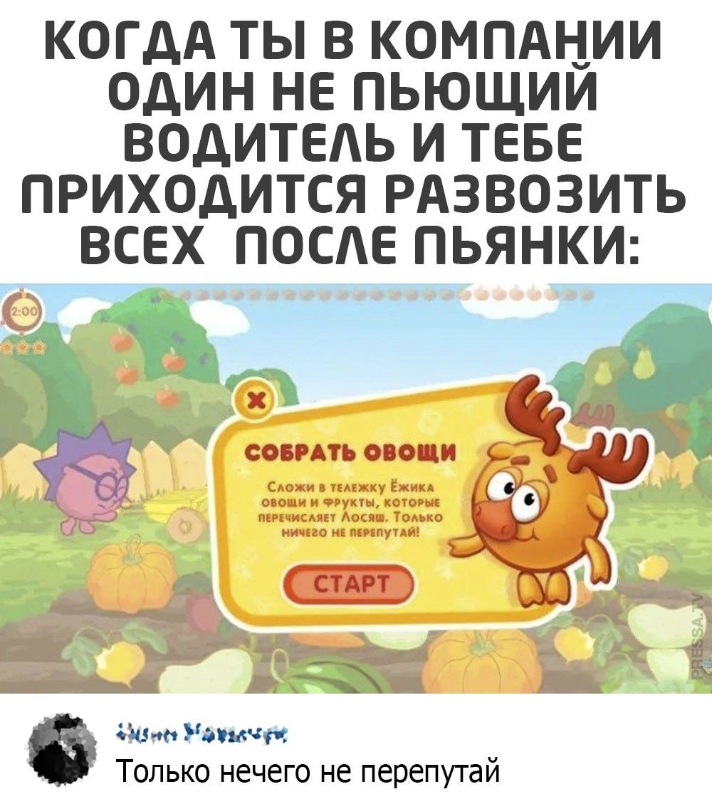 КОГДА ТЫ В КОМПАНИИ ОДИН НЕ ПЬЮЩИИ ВОДИТЕАЬ И ТЕБЕ ПРИХОДИТСЯ РАЗВОЗИТЬ ВСЕХ ПОСАЕ ПЬЯНКИ п 6 за Раш ч Только нечего не перепутай