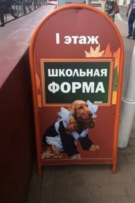 шкодымя ФОРМА а у