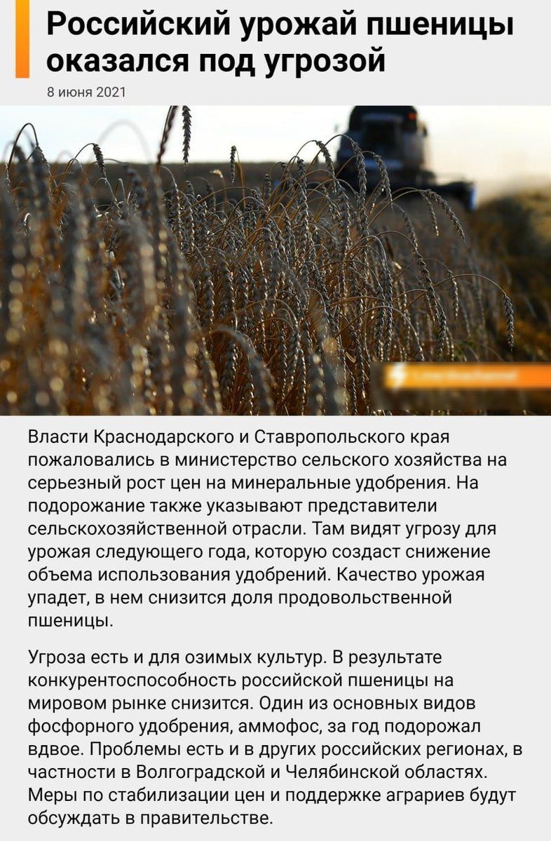 Российский урожай пшеницы оказался под угрозой 8 июня 2021 Власти Краснодарского и Ставропольского края пожаловались в министерство сельского хозяйства на серьезный рост цен на минеральные удобрения На подорожание также указывают представители сельскохозяйственной отрасли Там видят угрозу для урожая следующего года которую создаст снижение объема использования удобрений Качество урожая упадет в не