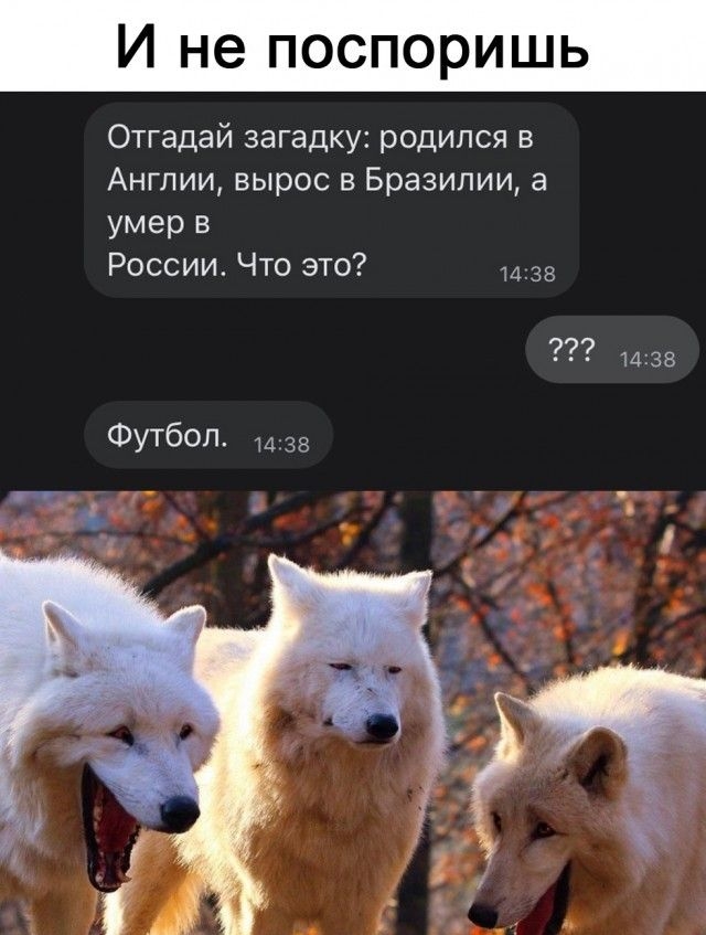 И не поспоришь Отгадай загадку родился в Англии вырос в Бразилии а умер в России Что это 33 1435